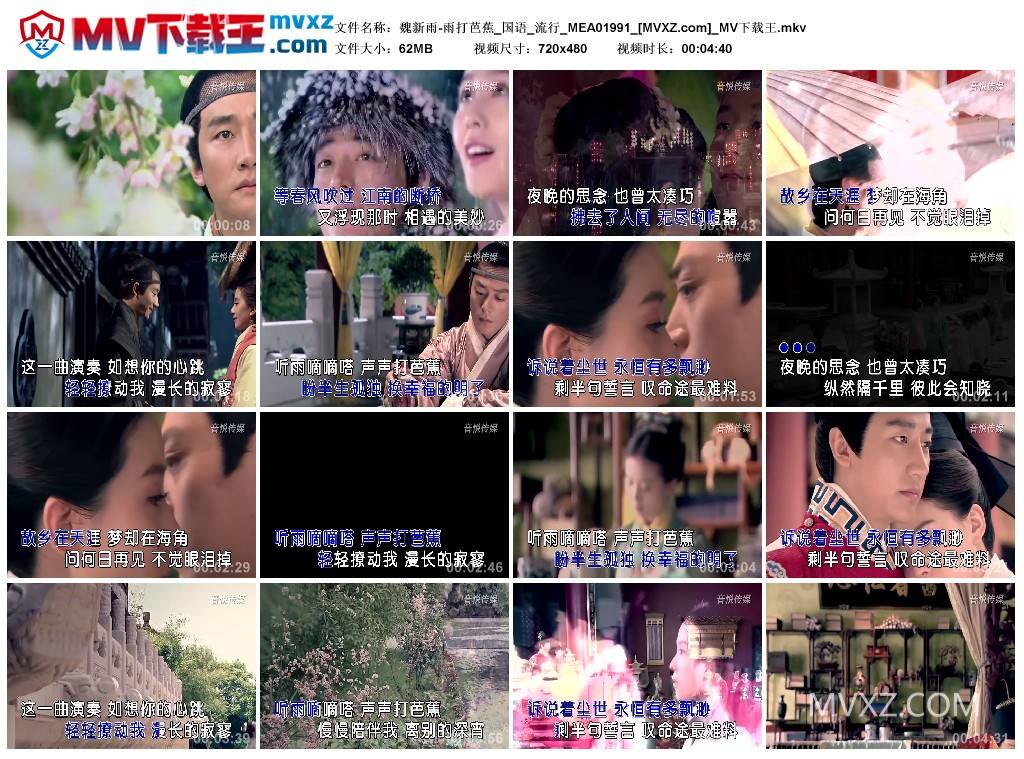 魏新雨-雨打芭蕉_国语_流行_MEA01991